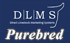 Purebred 1